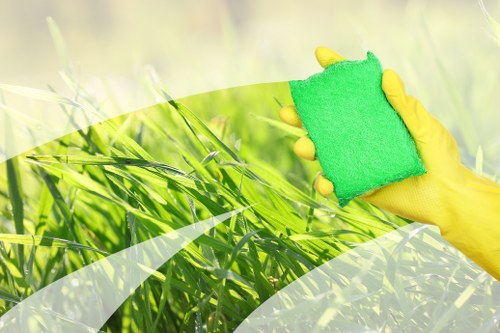 Professional home cleaners providing domestic cleaning in SW18