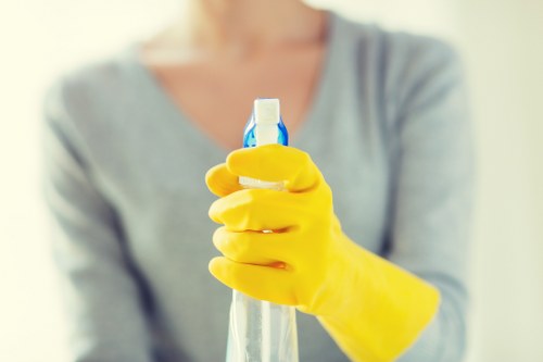 Professional cleaners serving homes in SW18