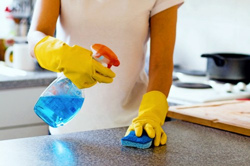 Deep cleaning service for a modern SW18 home