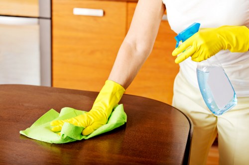 Stain removal treatment by a carpets cleaner in SW18